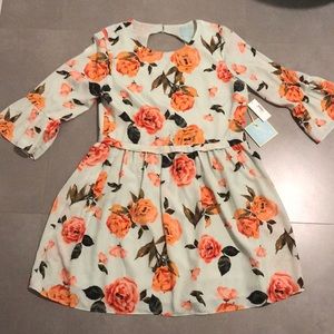 NWT CeCe Dress